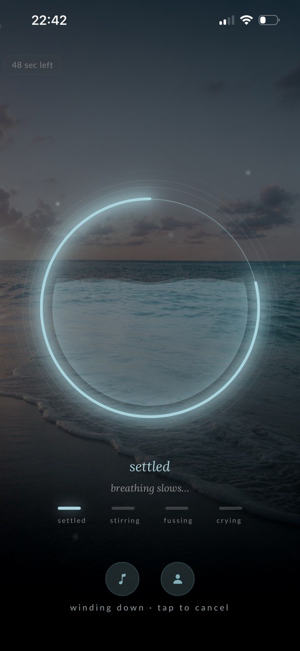 SleepySleep winding down — settled, the ocean